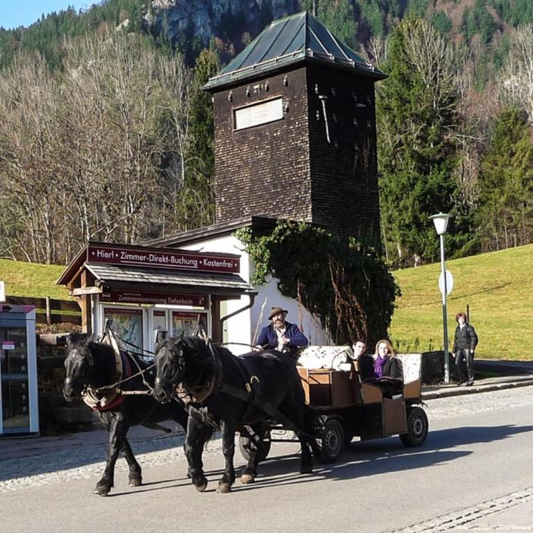 Alphorn Bergnescht - Apartment mit 1 Schlafzimmer - 12