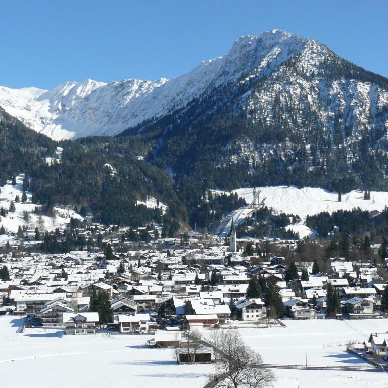 Alphorn Bergnescht - Apartment mit 1 Schlafzimmer - 15