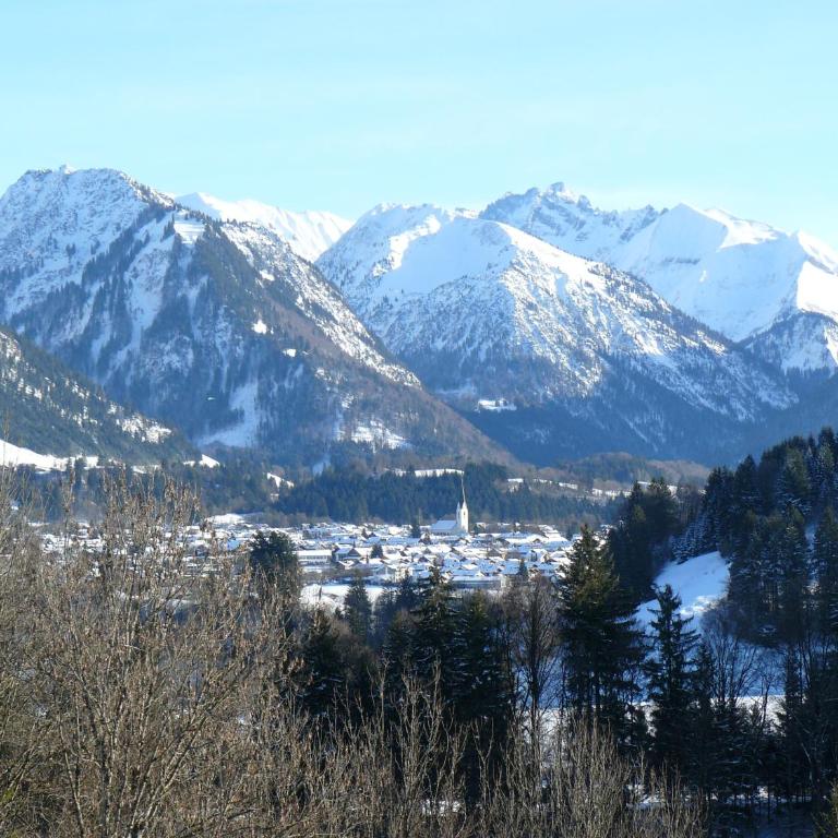 Alphorn Bergnescht - Apartment mit 1 Schlafzimmer - 18
