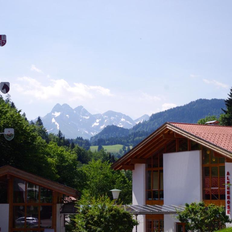 Alphorn Bergnescht - Apartment mit 1 Schlafzimmer - 19