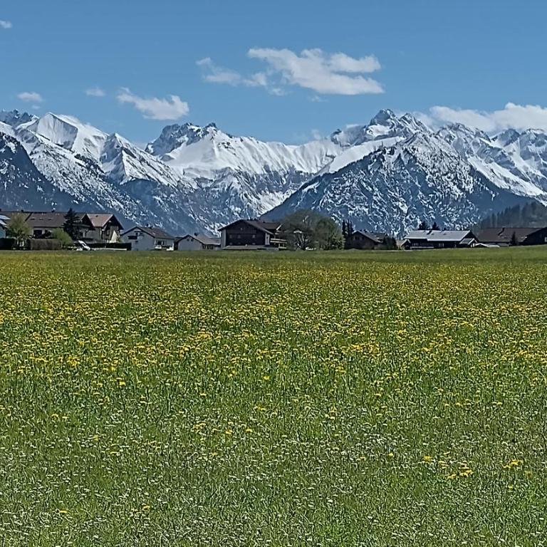 Alphorn Bergnescht - Apartment mit 1 Schlafzimmer - 27