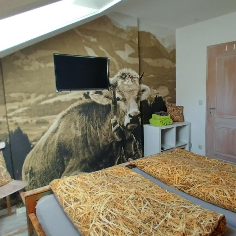 Alphorn Bergnescht - Apartment mit 1 Schlafzimmer - 54