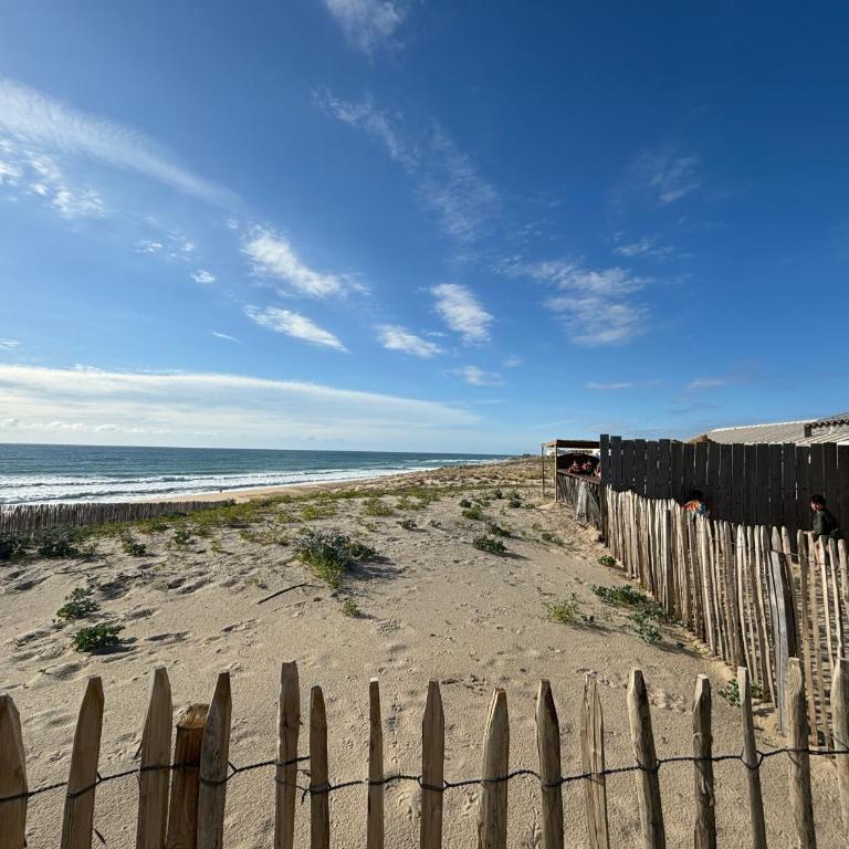 Maison neuve Lacanau à 300m de la plage sud et à proximité des golfs - Maison 3 Chambres - 15