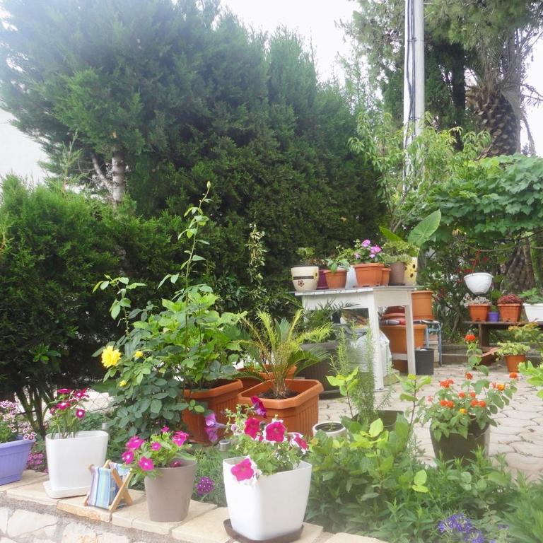 Brankas Apartments - Apartment with Terrace - 46