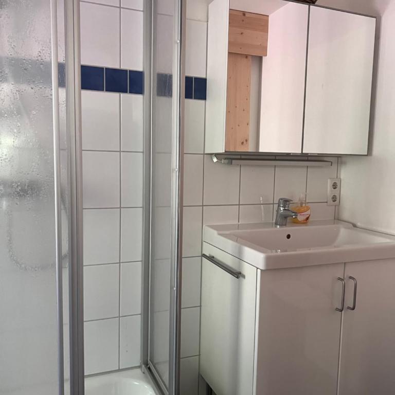 Piburg Seebichlhof - Studio-Apartment - 9