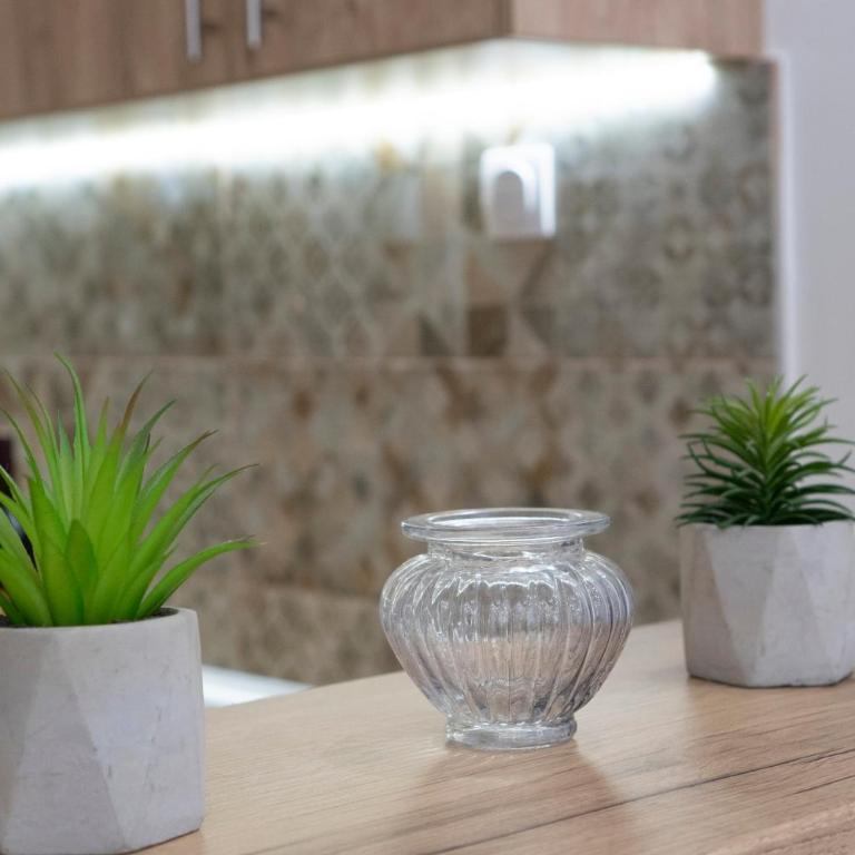 Apartman Pike centar - Apartman sa 1 Spavaćom Sobom - 45
