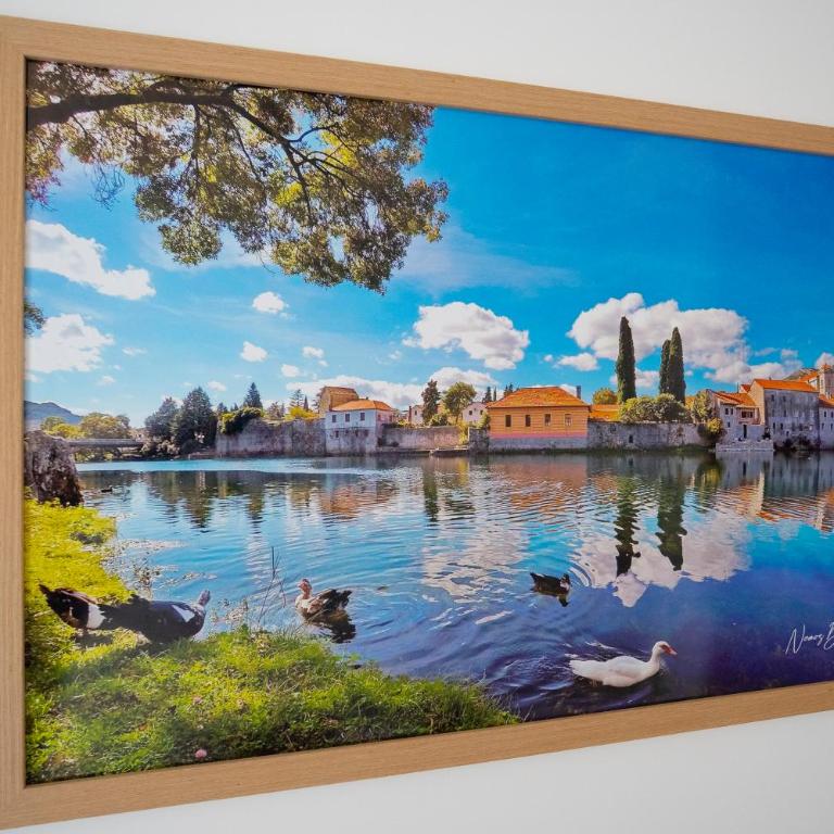 Apartman Pike centar - Apartman sa 1 Spavaćom Sobom - 48
