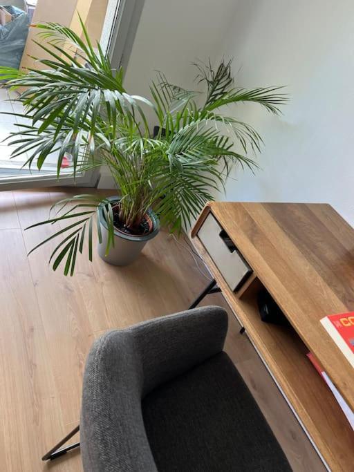 Le Petit Bruxelles au calme - Appartement 1 Chambre - 4