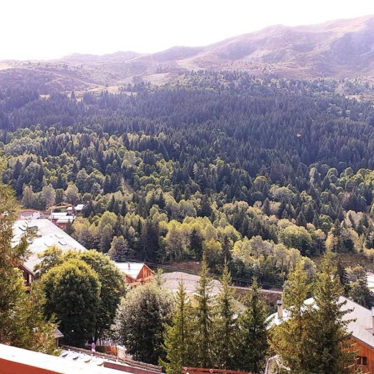 Résidence Le Genevrier - Très joli appartement 2 pièces en plein centre de Méribel dans une résidence calme MAE-0814 - Appartement - 4