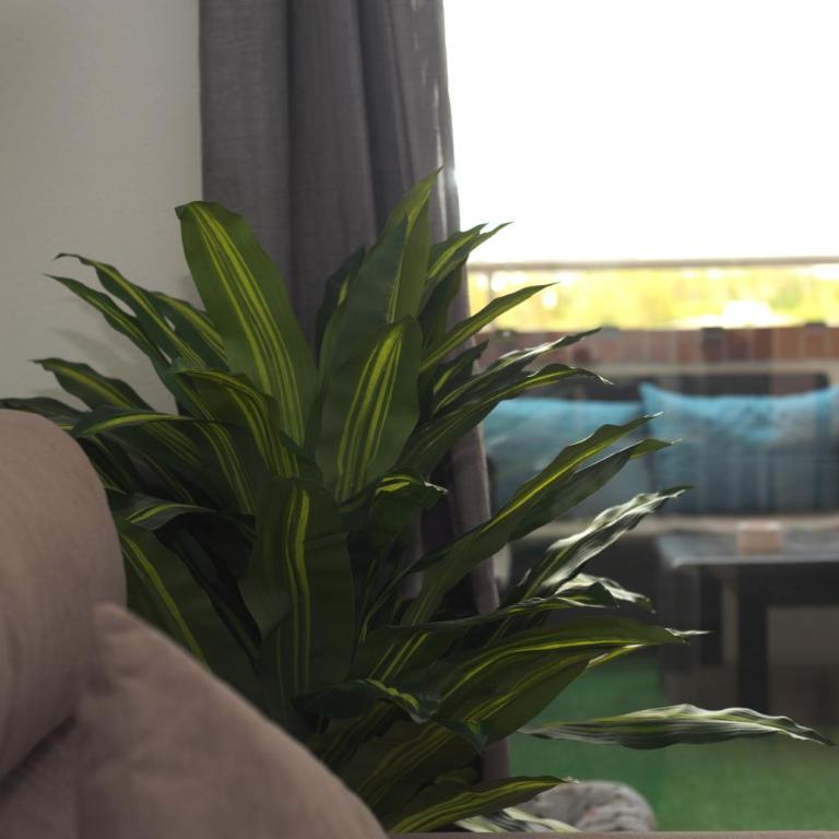 Apartalux Magic Gold - Apartamento de 2 dormitorios - 25