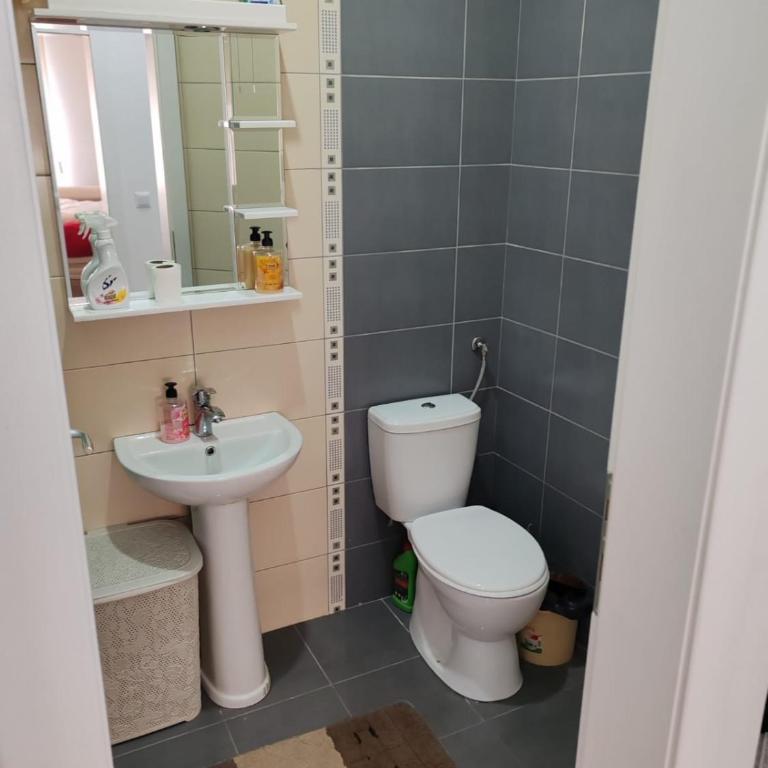 Apartman Sofija - Apartman sa 1 Spavaćom Sobom - 6