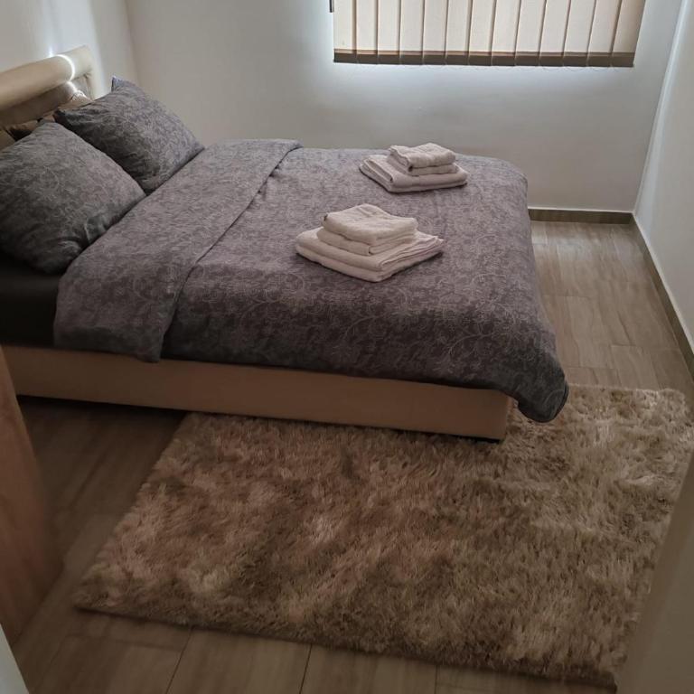 Apartman Sofija - Apartman sa 1 Spavaćom Sobom - 3