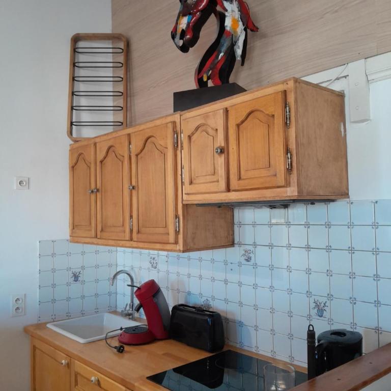 Flamants 1 5 personnes - One-Bedroom Apartment - 19