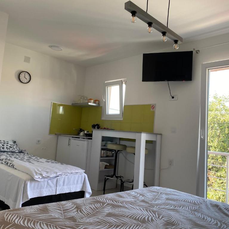 Apartments and Rooms Radivojević Niš - Studio sa Balkonom - 3