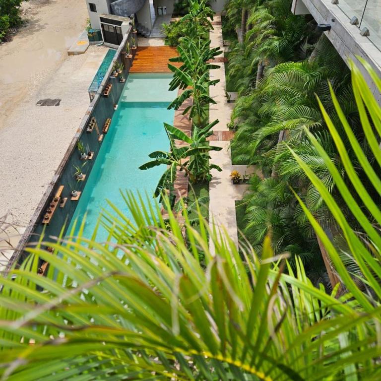 Estudio con Jacuzzi Privado en Xamira - Apartamento de 1 dormitorio - 16