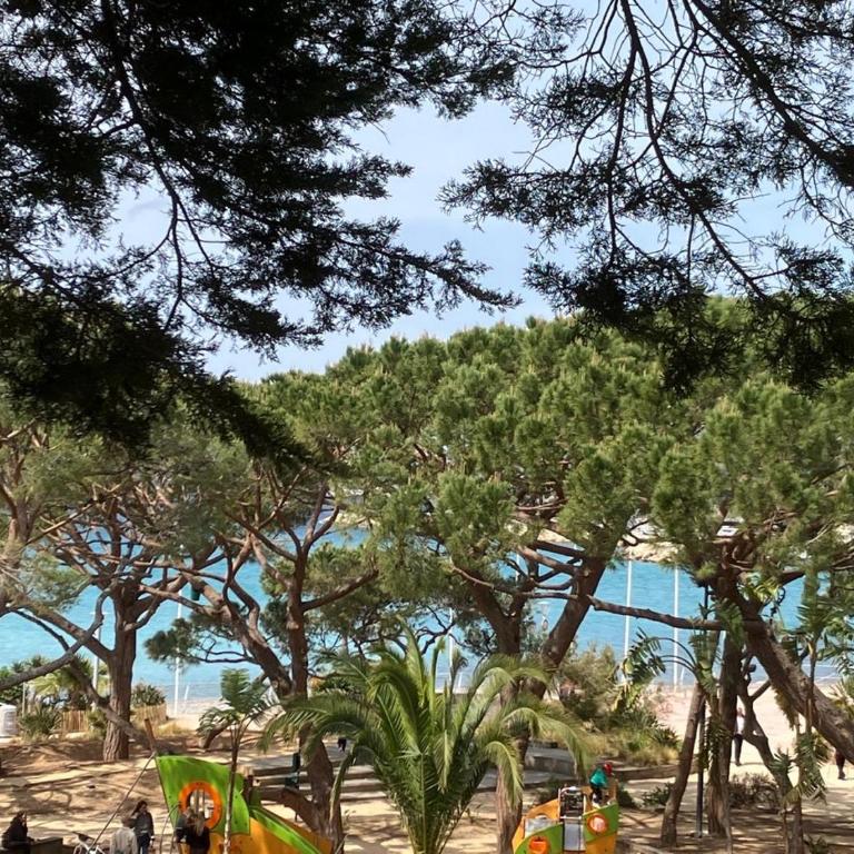 Les Pins - Appartement 1 Chambre - 1