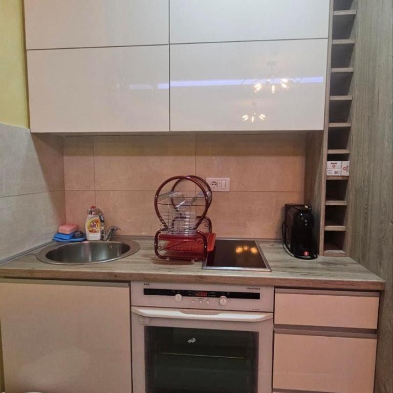 Apartman Stojanovic 4 - Apartman sa 1 Spavaćom Sobom - 8