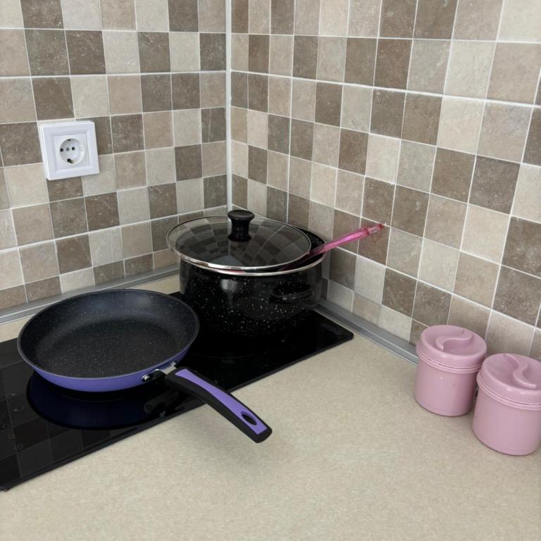 Vila Mia - Apartman sa 1 Spavaćom Sobom - 16