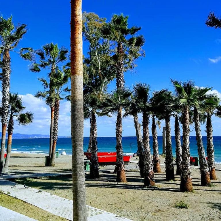 Beachfront San Pedro Alcantara - Three-Bedroom Apartment - 23