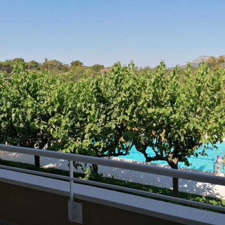 Apartamentos Dalia - One-Bedroom Apartment with Pool View - 7