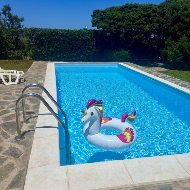 Villa del Tramonto - Piscina privata - Villa - 12