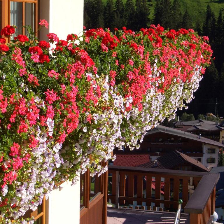 Haus Panorama - Apartment mit 3 Schlafzimmern - 4