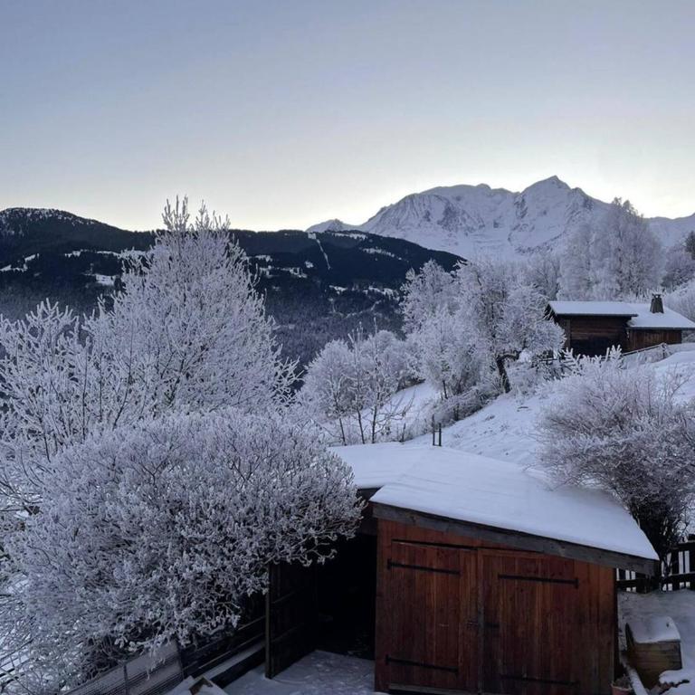 Chalet Le Splendide - Chalet - 54
