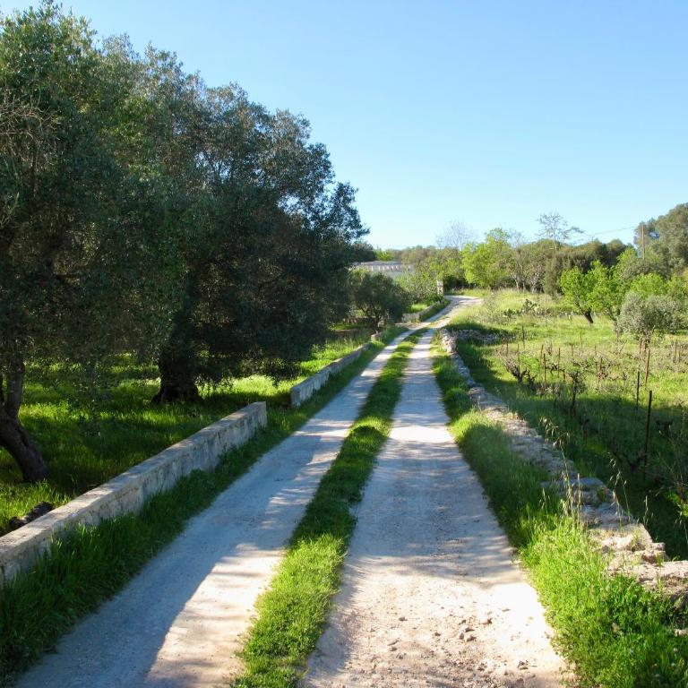 Trullo Joy - One-Bedroom Apartment - 23