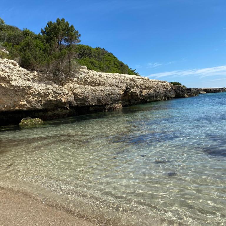 Trullo Joy - One-Bedroom Apartment - 27