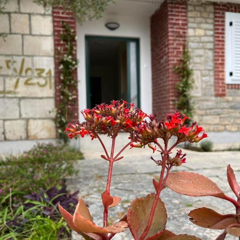 Forrest Road Residence - Apartman sa 2 Spavaće Sobe - 18