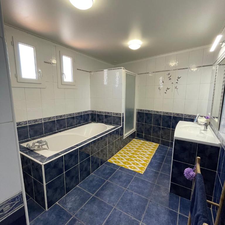 Appartement traversant Les Saintes vue sur Etangs camargue - Appartamento - 8
