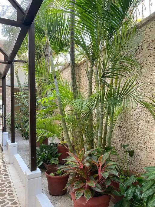 Modern Apartment in Laguito - Apartamento de 3 dormitorios - 30