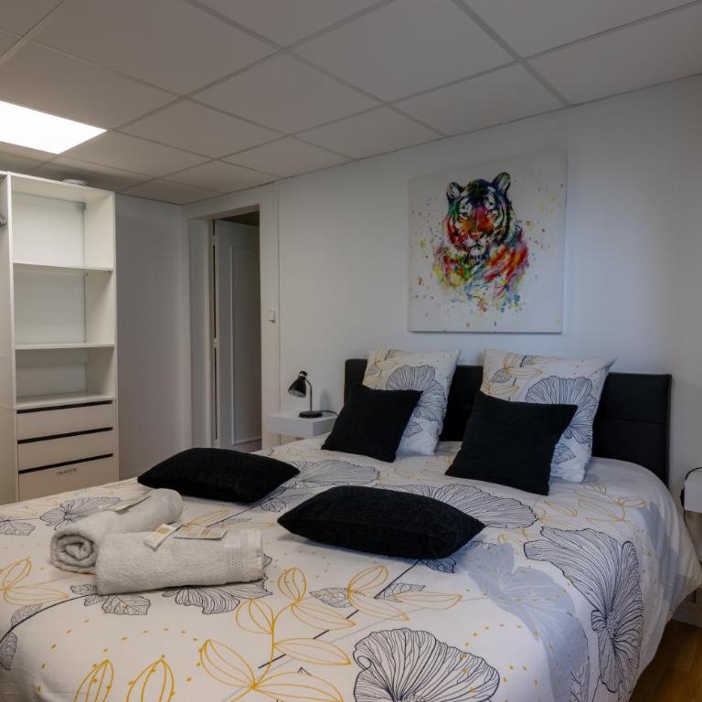 LeSaumurTranquille - Le Poitrineau - Appartement 1 Chambre - 8