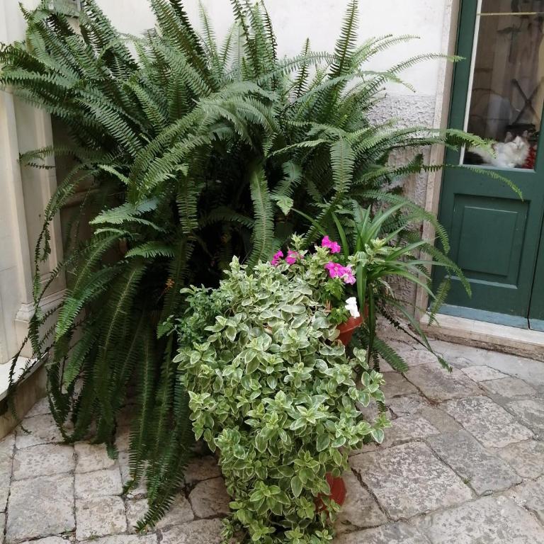 Dimora Sotto l'Arco - Casa con 2 Camere da Letto - 33