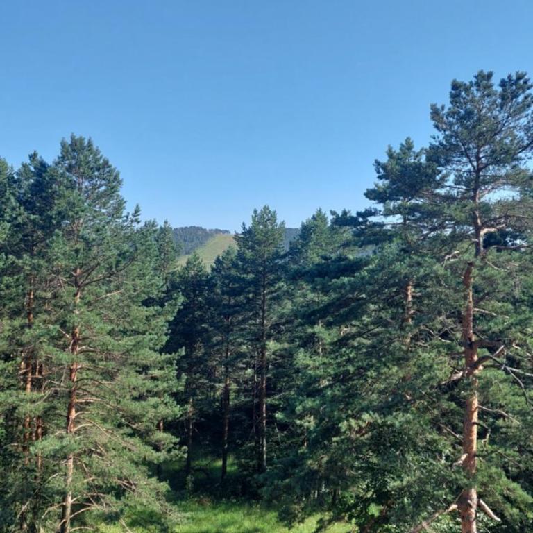 APARTMAN GREEN HILLS 20 - Apartman sa 1 Spavaćom Sobom - 3