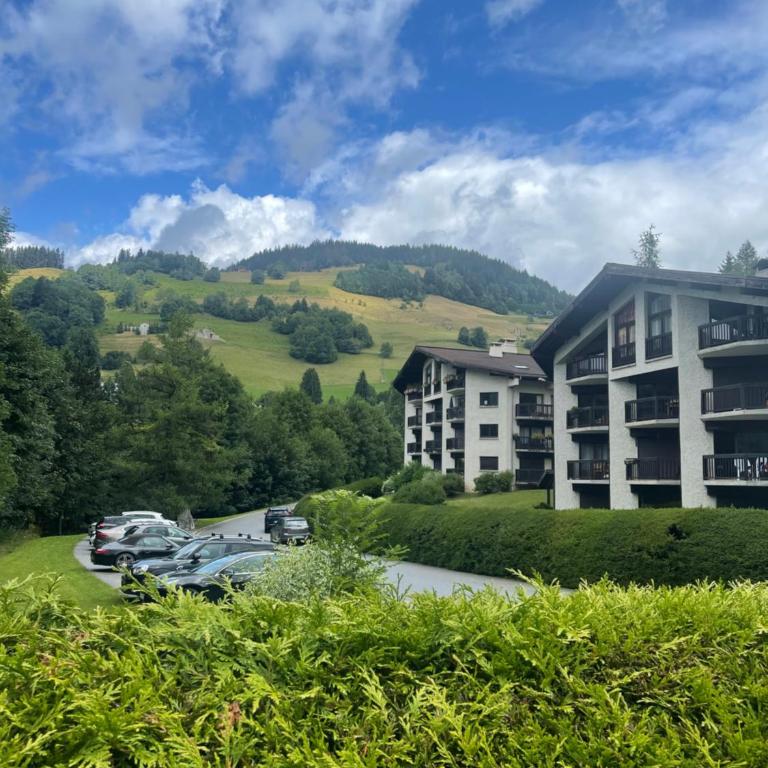 studio 1 personne megeve heidi5 - Appartement 1 Chambre - 16