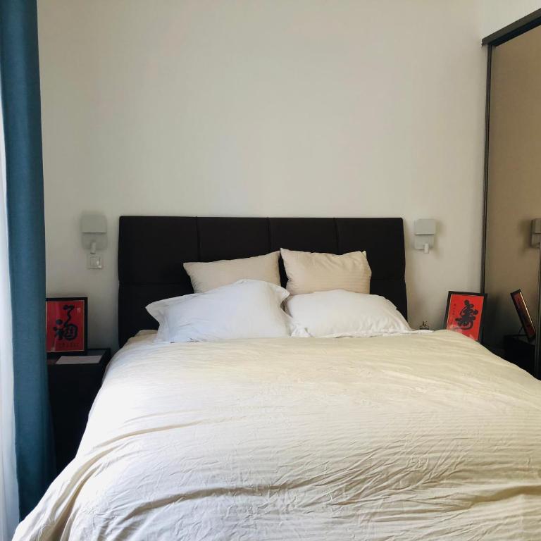 Comfortable and Luxury Appart-Center of Paris - Appartement 2 Chambres - 8