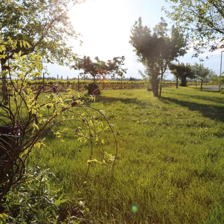 Valle di Assisi Country Apartments - Appartamento Deluxe con 2 Camere da Letto - 1