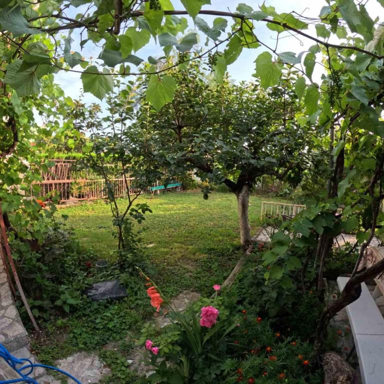 Apartmani Stanić - Apartman sa 1 Spavaćom Sobom - 1