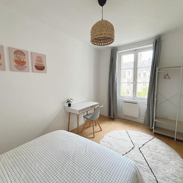 Le Cocon Angevin - Appartement 1 Chambre - 5