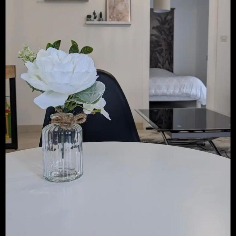 Joli appart cour proche bord de loire - Appartamento con 1 Camera da Letto - 8