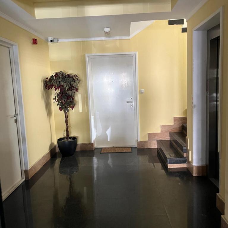 Sofia - Deluks Apartman sa 2 Spavaće Sobe i Balkonom - 12