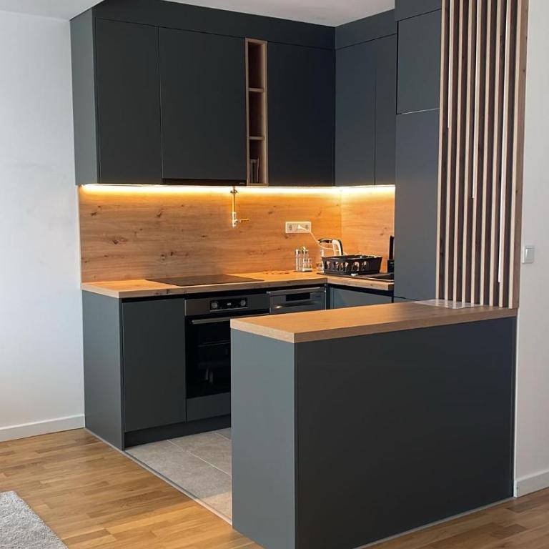 Ilidža VIP apartment - Apartman sa 2 Spavaće Sobe - 9