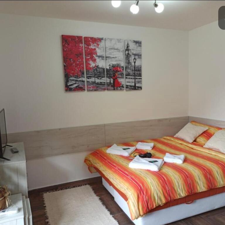Iskra - Apartman sa 1 Spavaćom Sobom - 1