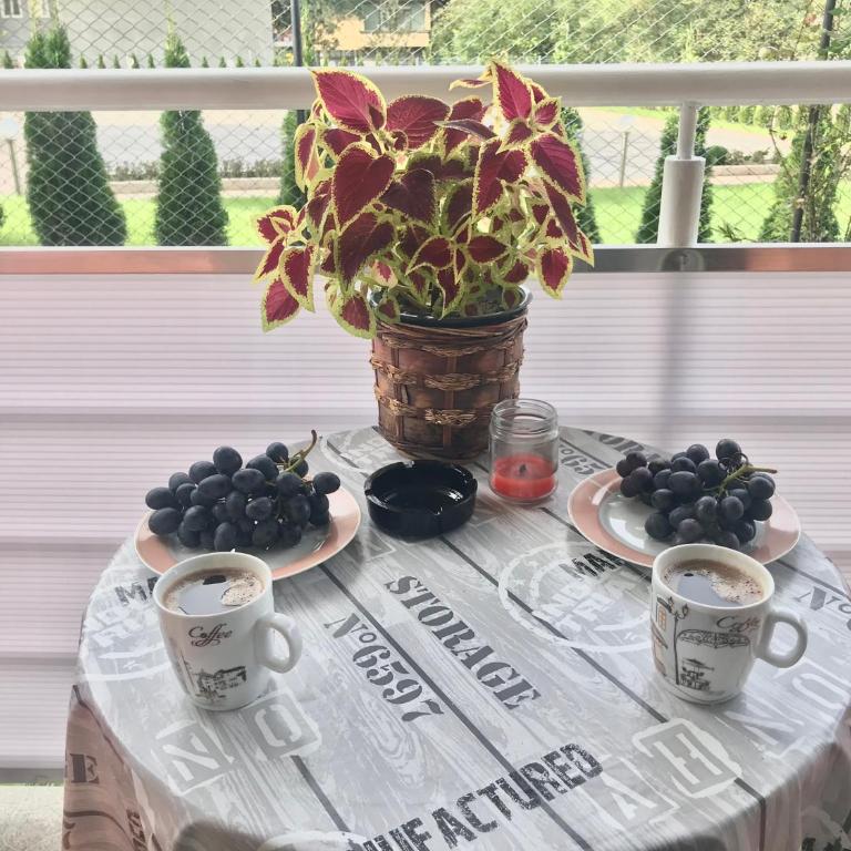 Iskra - Apartman sa 1 Spavaćom Sobom - 26