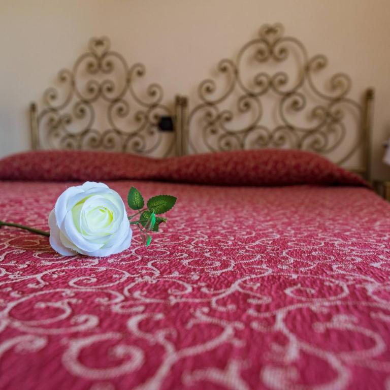 Hotel Adria & Resort - Single Room - 1