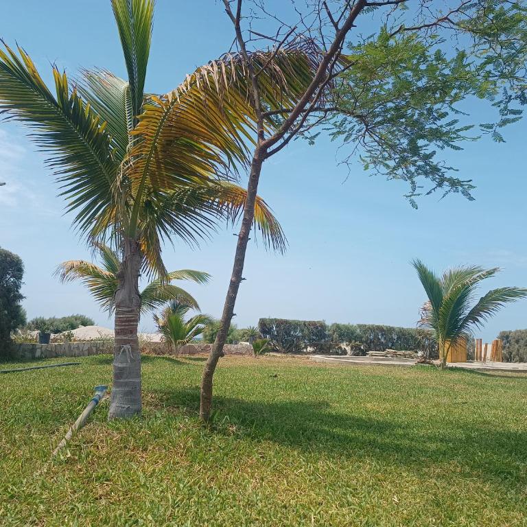 Casa VerdeMar Vichayito Perú - Four-Bedroom House - 51
