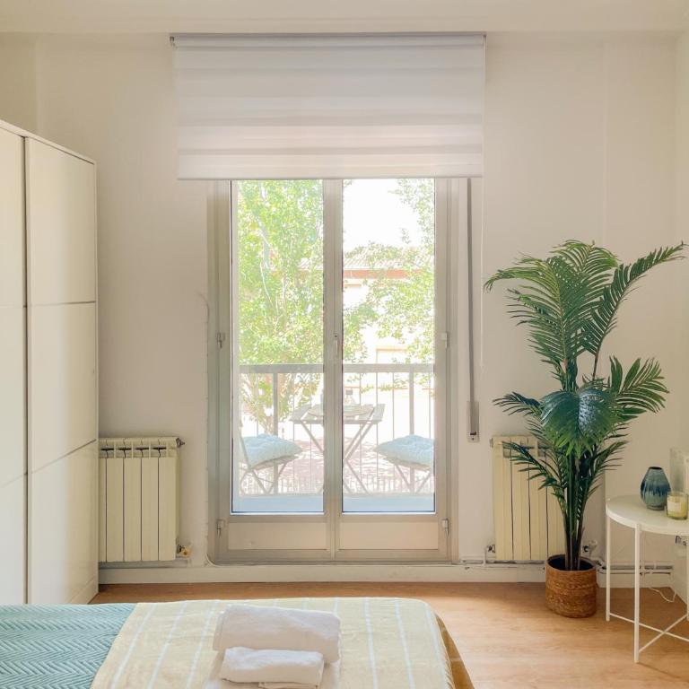 Apartamento Boza - Apartamento de 3 dormitorios - 17