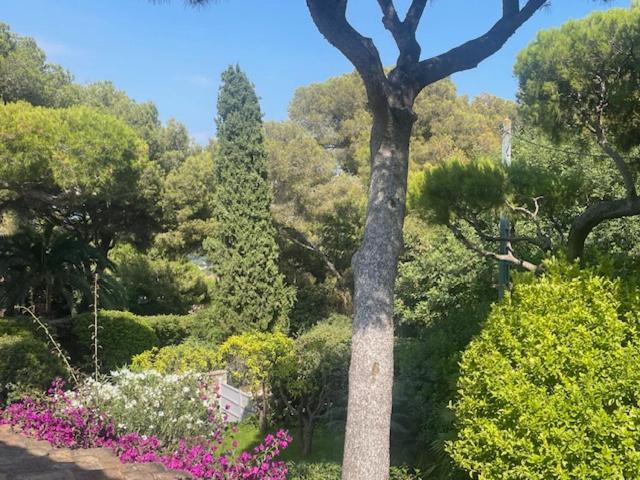 Villa de Charme au coeur du Cap-Ferrat - Villa - 43