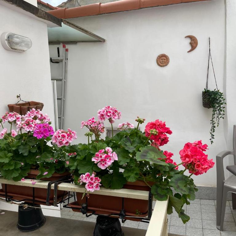Cornabrugia Patio Apartment - Appartement 1 Chambre - 22